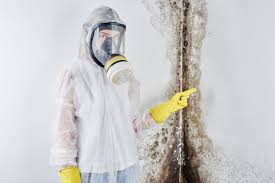 Best Commercial Mold Inspection  in Waterville, ME